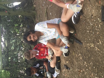 IMG 0507