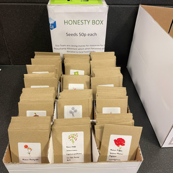 Seed Selling